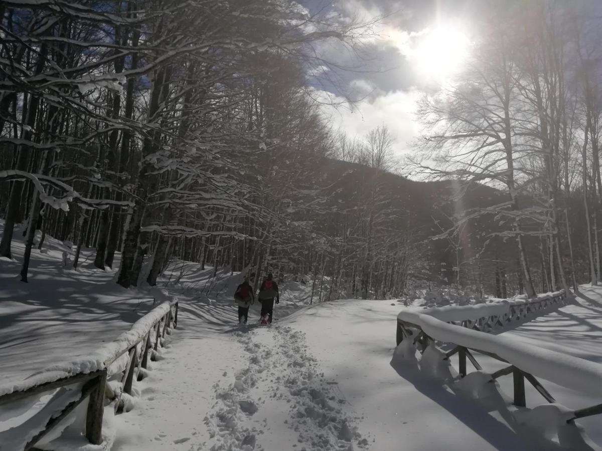 B&B Il Buon Cammino Roccamandolfi Экстерьер фото